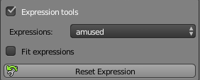 Expression Toolsの設定